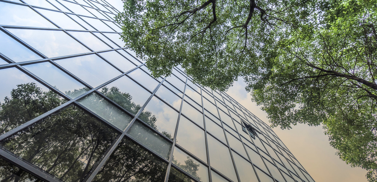 Fensterfront von einem hohen Firmen-Gebäude mit Baum davor